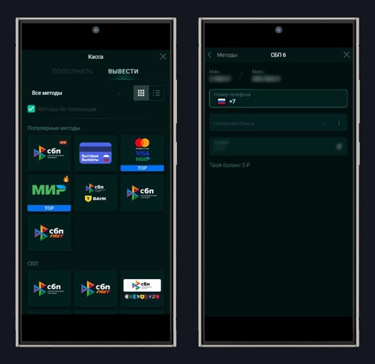 Раздел для вывода денег